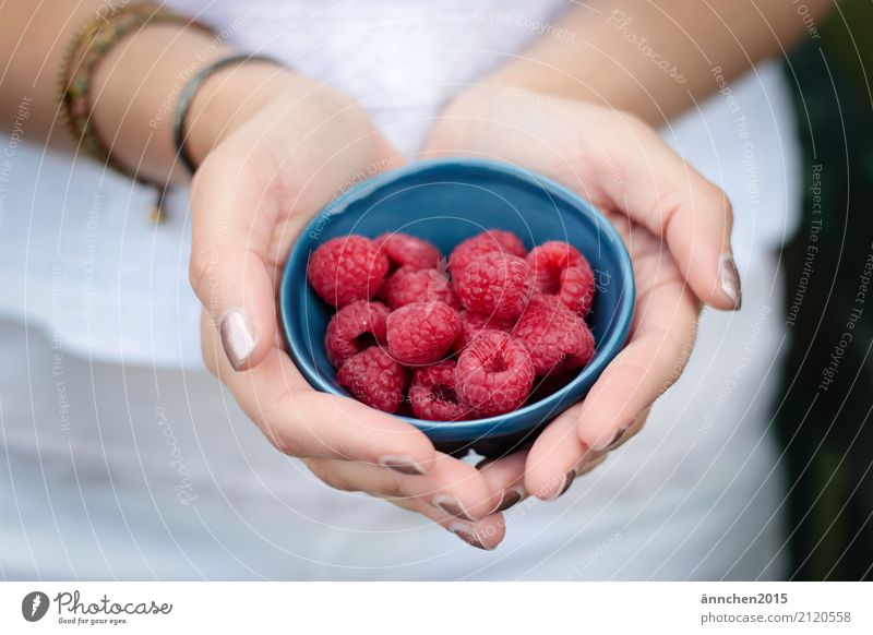 Himbeeren :) Schalen & Schüsseln blau Hand festhalten rot Sommer Freude Gesunde Ernährung Speise Essen Foodfotografie pflücken sammeln verarbeiten Frucht Natur