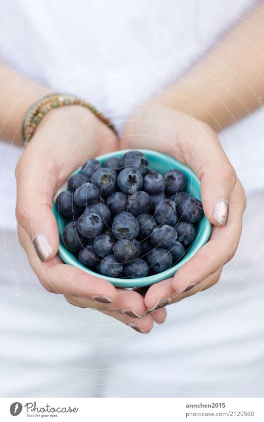 Blaubeeren III Gesunde Ernährung Speise Essen Foodfotografie Lebensmittel Gesundheit festhalten Hand Jugendliche Junge Frau Natur hell Außenaufnahme healty