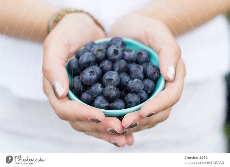 Blaubeeren II Gesunde Ernährung Speise Essen Foodfotografie Lebensmittel Gesundheit festhalten Jugendliche Junge Frau Natur hell Außenaufnahme healty Beeren