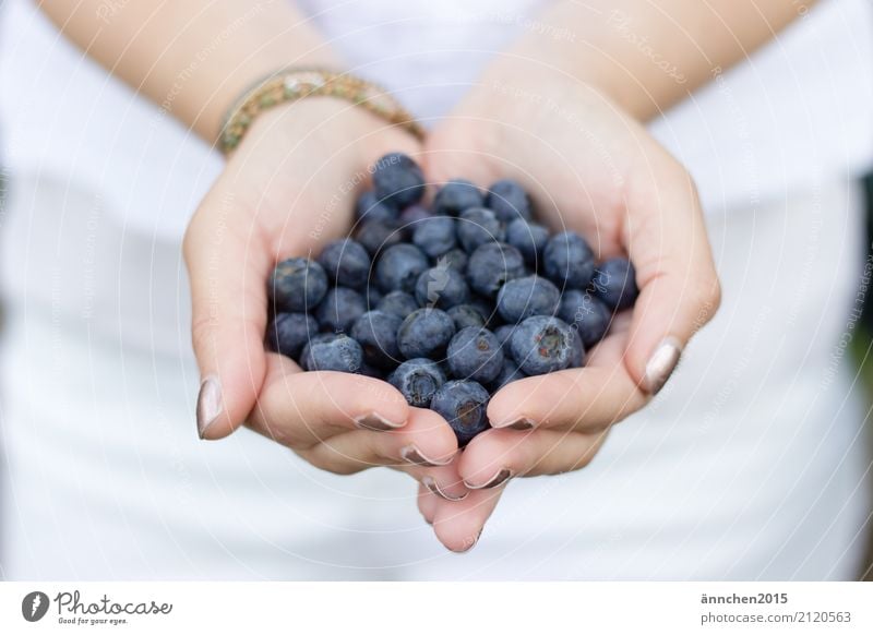 Blaubeeren I Gesunde Ernährung Speise Essen Foodfotografie Lebensmittel Gesundheit festhalten Jugendliche Junge Frau Natur hell Außenaufnahme healty Beeren