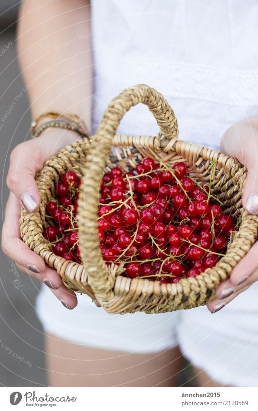 Johannisbeeren I Gesunde Ernährung Speise Essen Foodfotografie Lebensmittel Gesundheit haltend Jugendliche Junge Frau Natur hell Außenaufnahme healty Beeren