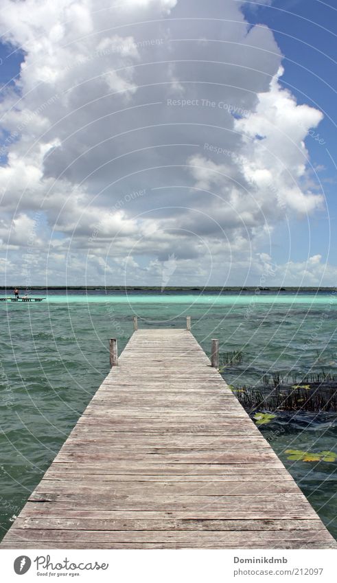 Freiheit Wohlgefühl Zufriedenheit Sinnesorgane ruhig Ferien & Urlaub & Reisen Sommerurlaub Meer Insel Wellen Natur Wasser Sonne Klima Holz frei hell Wärme blau