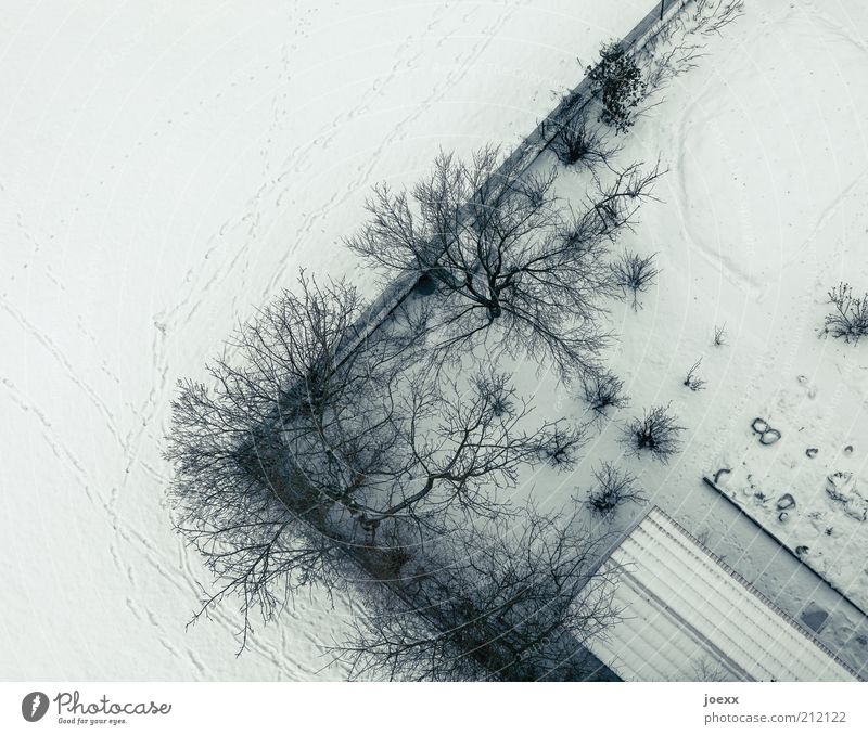 Drohung Winter Schnee Baum Garten Dach kalt unten Grundstücksgrenze Vogelperspektive Farbfoto Gedeckte Farben Außenaufnahme Luftaufnahme Textfreiraum links