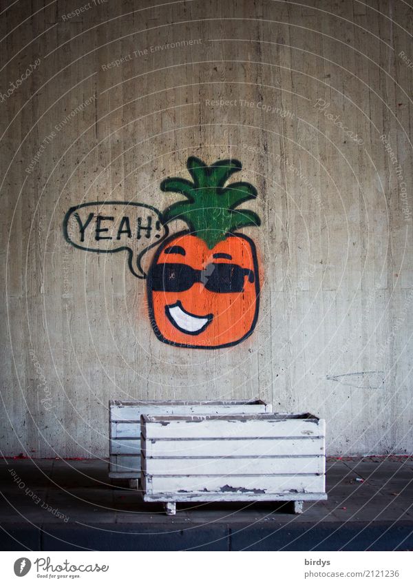 Coole Ananas maskulin Kopf Jugendkultur Sonnenbrille Beton Zeichen Graffiti Sprechblase lachen sprechen ästhetisch außergewöhnlich Coolness Freundlichkeit