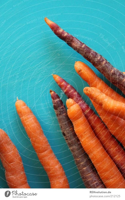 " ... diese möhren wurden also ermordet?" "Ja-" Lebensmittel Ernährung Bioprodukte füttern genießen Gesundheit lecker natürlich dünn knackig orange türkis