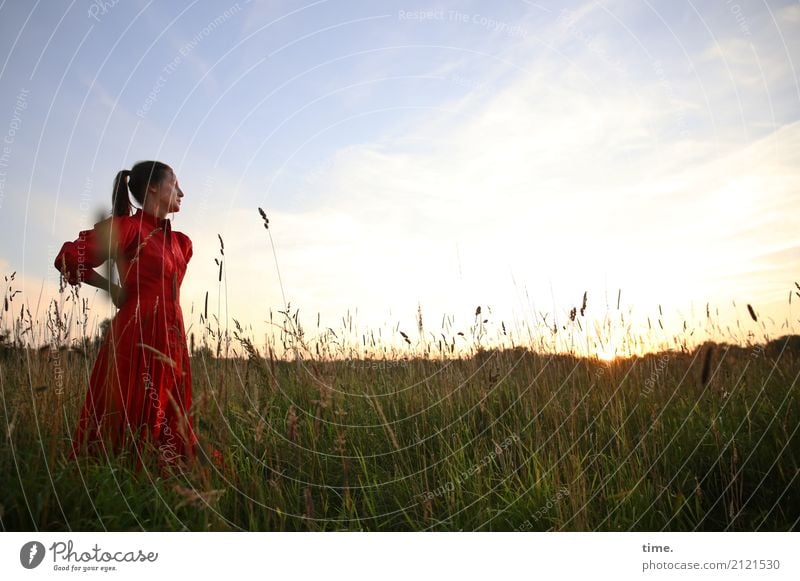 lil't feminin Frau Erwachsene 1 Mensch Himmel Wolken Horizont Schönes Wetter Wiese Feld Kleid brünett langhaarig Zopf beobachten Blick stehen schön Gefühle