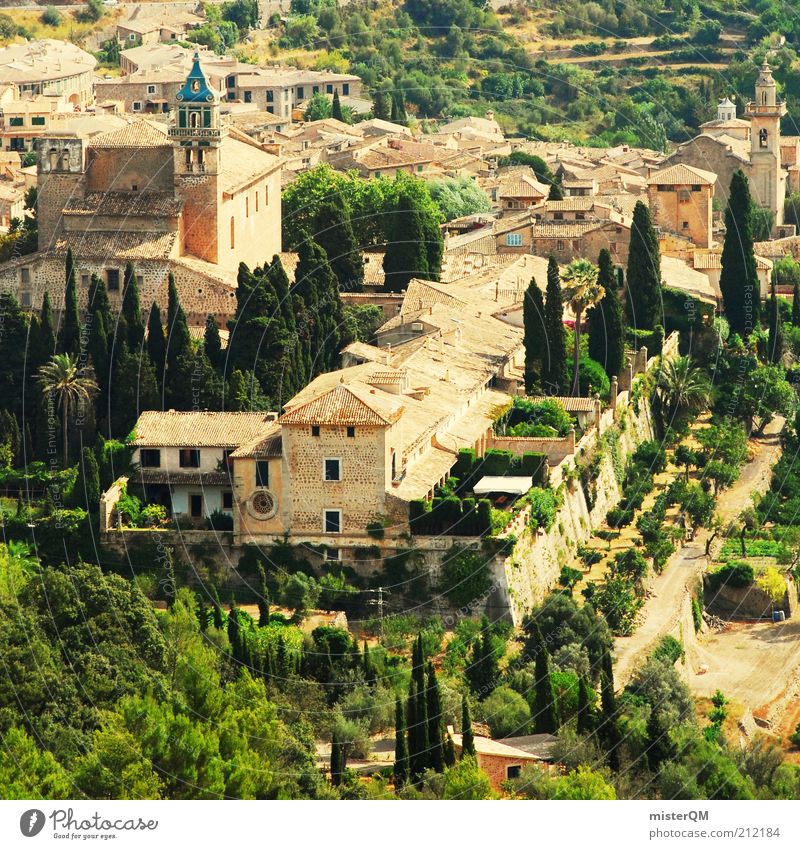 El Paraíso Valldemossa. Ferien & Urlaub & Reisen Urlaubsfoto Urlaubsort Mallorca Spanien Fernweh Tal Stadt historisch Historische Bauten Pinie Zypresse