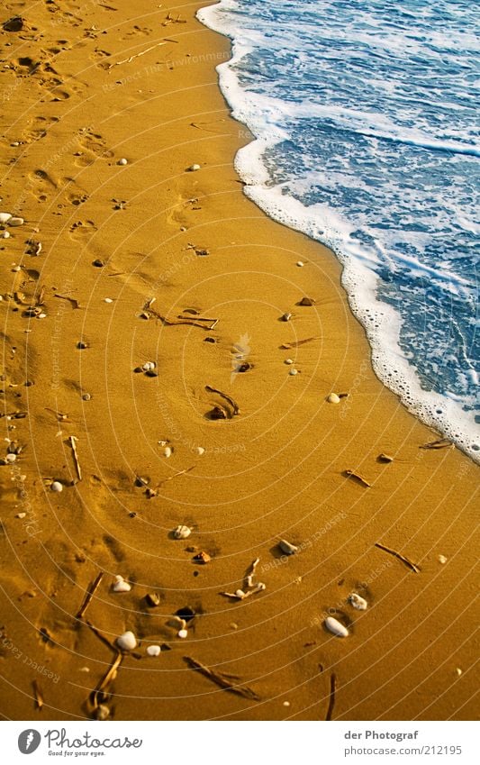 Spuren im Sand Wasser Sommer Küste Strand Meer nass Ferien & Urlaub & Reisen Farbfoto Außenaufnahme Tag Muschel Fußspur Menschenleer