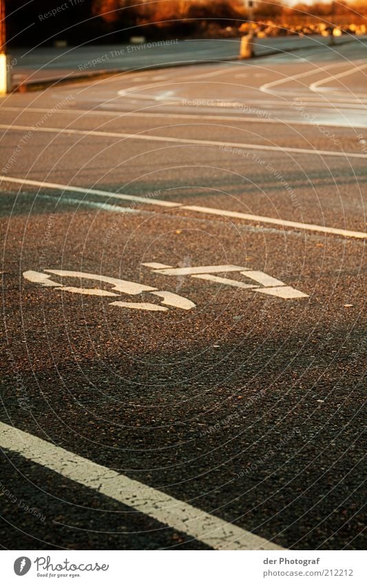 Sixty-four Verkehrswege Güterverkehr & Logistik Straßenverkehr Genauigkeit Ordnung leer Farbfoto Außenaufnahme Menschenleer Dämmerung Sonnenlicht