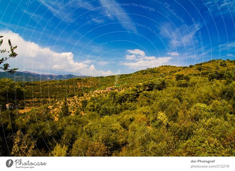 Somewhere else Natur Landschaft Pflanze Himmel Baum Gras Sträucher Hügel Berge u. Gebirge entdecken Farbfoto Außenaufnahme Menschenleer Textfreiraum oben