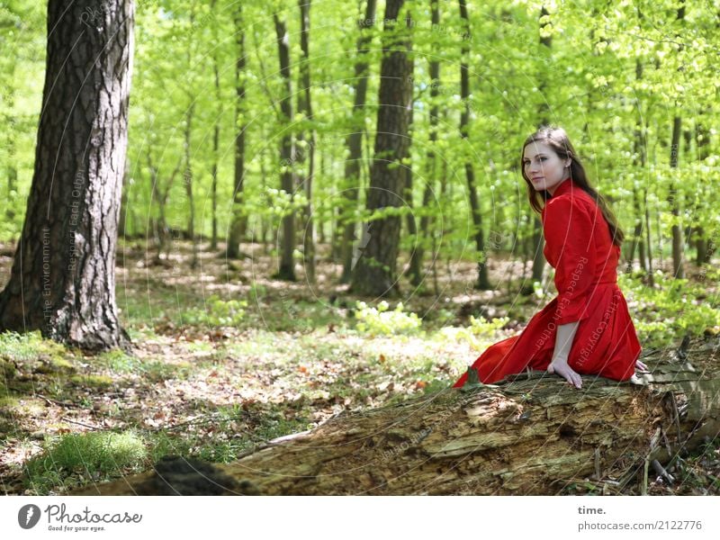 . feminin Frau Erwachsene 1 Mensch Frühling Pflanze Baum Wald Kleid brünett langhaarig beobachten Erholung festhalten Blick sitzen frei Freundlichkeit schön