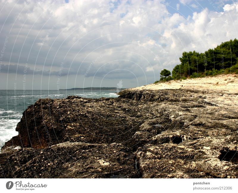 Frisch aus Kroatien Ferien & Urlaub & Reisen Tourismus Sommer Sommerurlaub Meer Wellen Umwelt Natur Landschaft Urelemente Wasser Himmel Wolken Sträucher Felsen