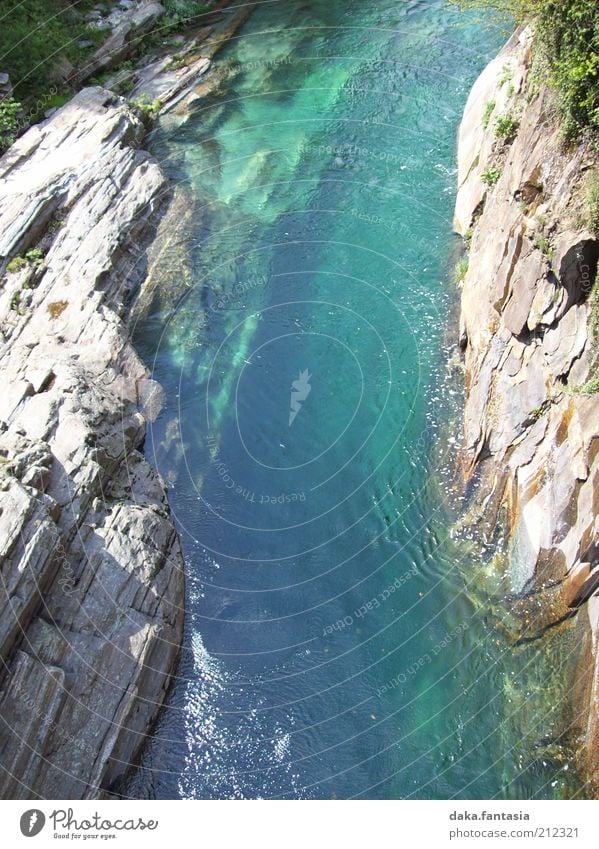 Wasserschlucht Natur Landschaft Erde Sommer Schönes Wetter Flussufer Bach Stein Romantik ruhig Freiheit Idylle Stil Stimmung Umwelt Unendlichkeit Farbfoto