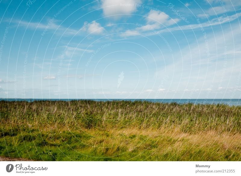 Einfach nur schön Landschaft Pflanze Wasser Himmel Wolken Horizont Schönes Wetter Küste Nordsee Erholung Ferien & Urlaub & Reisen Farbfoto Außenaufnahme