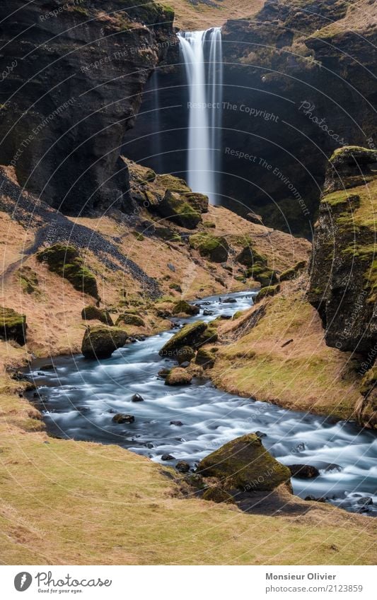 Kvernufoss Wasserfall in Island Fluss grün outdoor Reisefotografie Ferien & Urlaub & Reisen Abenteuer Farbfoto Gedeckte Farben Außenaufnahme Tag