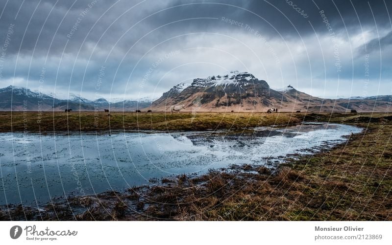 Island Wasser Himmel Wolken Gewitterwolken Herbst Winter Wetter schlechtes Wetter Unwetter Wind Sturm Gefühle Stimmung Berge u. Gebirge dramatisch Feld Farbfoto