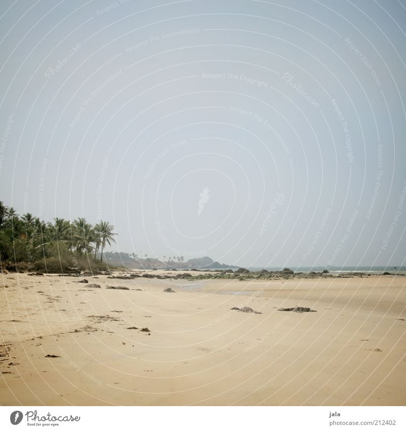 the beach Ferien & Urlaub & Reisen Ferne Freiheit Sommer Natur Landschaft Himmel Pflanze Baum Palme Palmenstrand Strand Meer Goa Indien frei Unendlichkeit