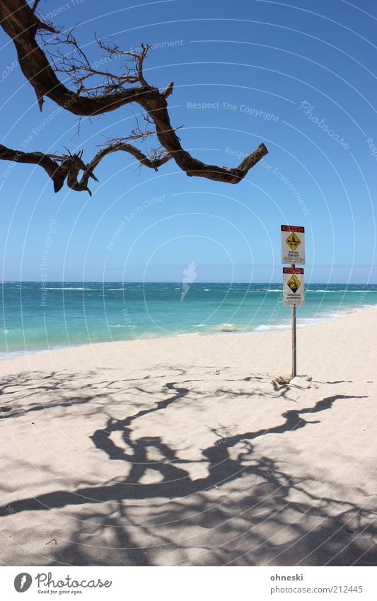 Strong Current Ferien & Urlaub & Reisen Sommer Sommerurlaub Strand Meer Wellen Pazifik Freiheit Ast Schilder & Markierungen Warnung Warnhinweis Farbfoto