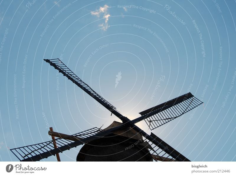 Mühle Handwerk Windmühle blau Himmel fleißig Farbfoto Außenaufnahme Textfreiraum oben Froschperspektive Sonnenlicht Blauer Himmel Wolkenloser Himmel