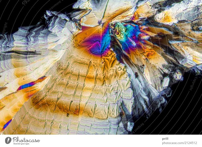 Trisodium citrate microcrystals Wissenschaften Natur authentisch außergewöhnlich natriumcitrat natriumsalz mikro kristall zitronensäure mikrokristall