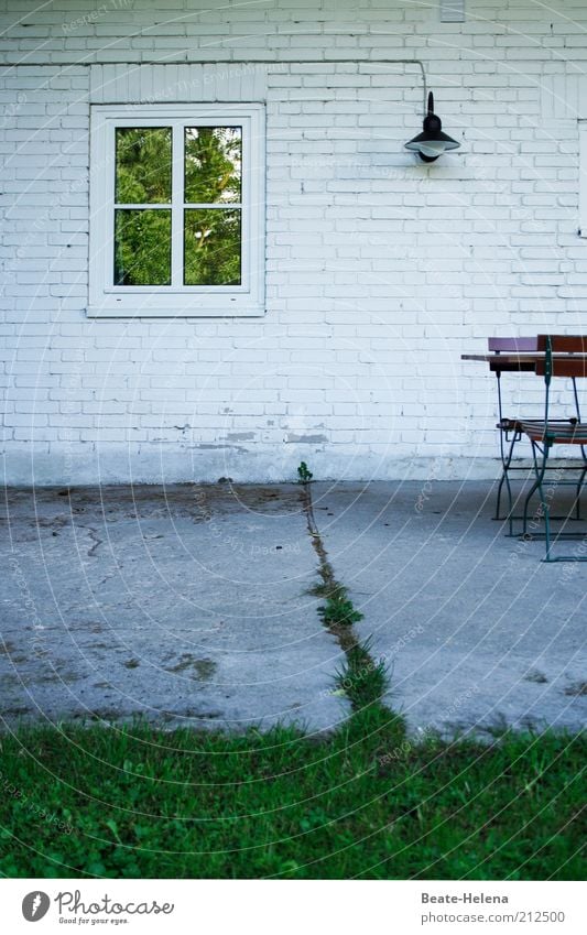 Naturliche Grenzziehung Ferien & Urlaub & Reisen Wohnung Haus Garten Erde Sommer Wärme Pflanze Gras Menschenleer Mauer Wand beobachten Erholung genießen träumen