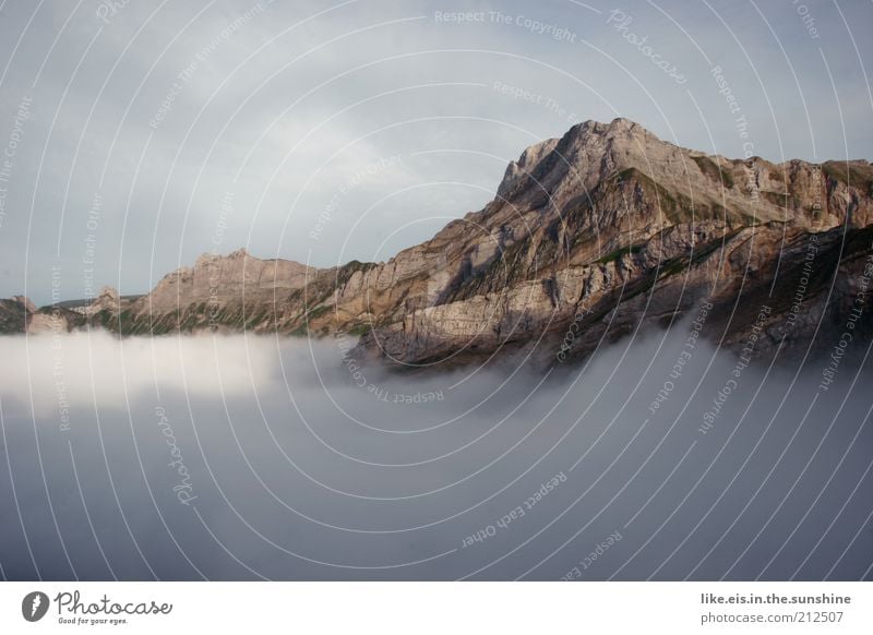 üüüüber den wolken.... (V) harmonisch Wohlgefühl Zufriedenheit Sinnesorgane Erholung ruhig Ferne Sommerurlaub Berge u. Gebirge Natur Landschaft Wolken Wetter