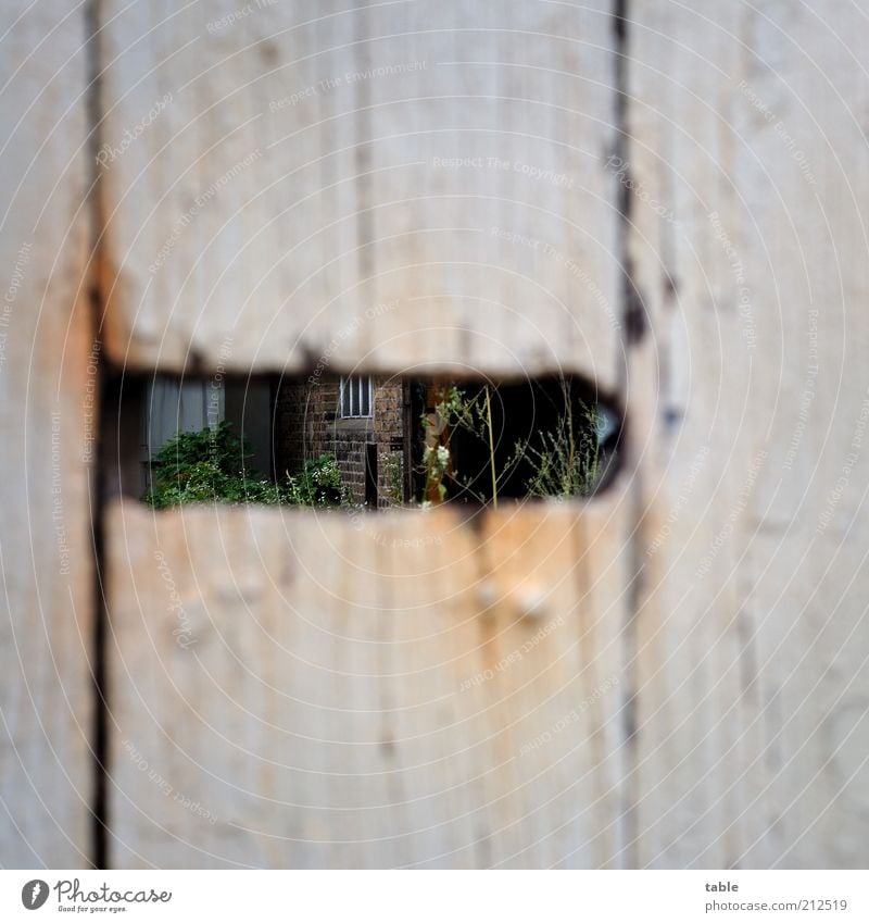 Einblick Häusliches Leben Haus Garten Einwurfschlitz Hof Stein Holz alt dunkel grau Verfall verfallen Durchblick Neugier geschlossen Farbfoto Außenaufnahme