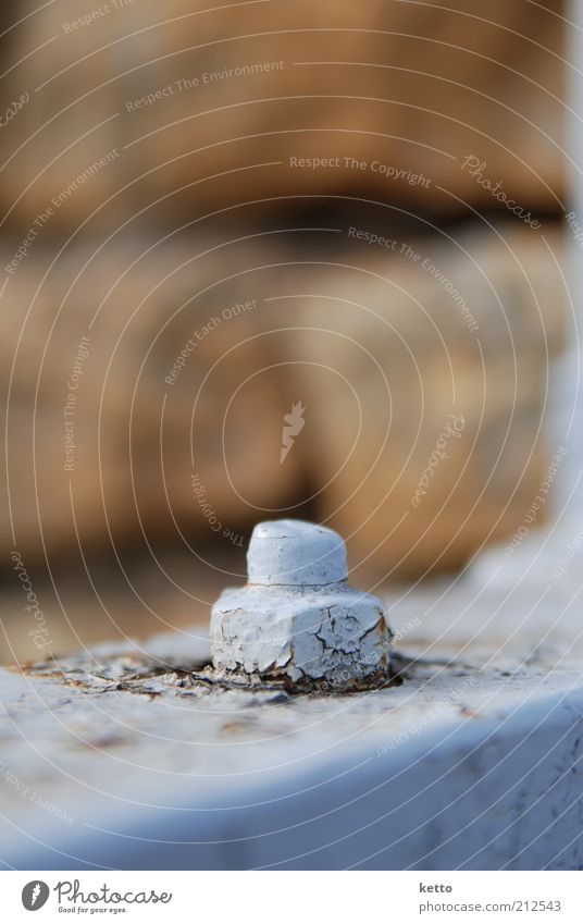 Mutterschutz Mauer Wand Schraubenmutter Metall Stahl dreckig fest braun Schutz Sicherheit stagnierend Verfall lackiert Farbfoto Außenaufnahme Nahaufnahme