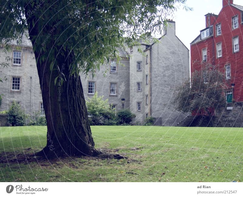 verwurzelt Haus Baum Gras Park Wiese Edinburgh Schottland Gebäude Architektur Treppe Fassade eckig Stadt Farbfoto Außenaufnahme Menschenleer Weitwinkel