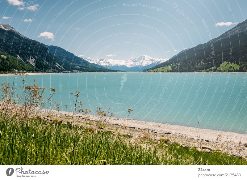 Reschensee Umwelt Natur Landschaft Himmel Sommer Schönes Wetter Sträucher Wiese Alpen Berge u. Gebirge Seeufer Ferne gigantisch natürlich blau grün türkis ruhig