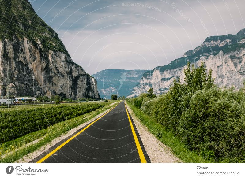 Fahrradstraße Natur Landschaft Himmel Sonne Sommer Schönes Wetter Sträucher Alpen Berge u. Gebirge Straße natürlich blau grün Einsamkeit Idylle Mittelpunkt