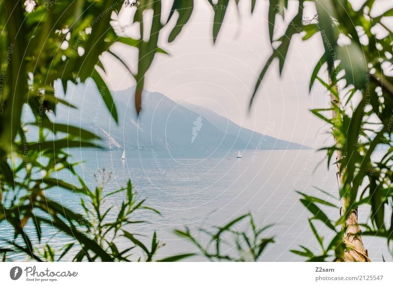 oh du schöner lago Natur Landschaft Sommer Klima Schönes Wetter Sträucher Berge u. Gebirge See natürlich blau grün Gelassenheit ruhig Einsamkeit Erholung