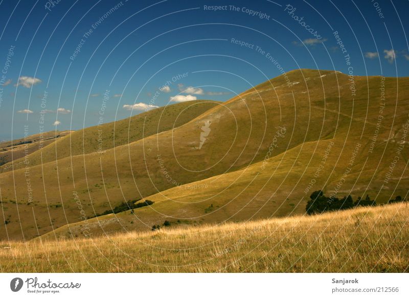 Dream of the Teletubbie Natur Fernweh Alm Berge u. Gebirge Grasland Ferne Freiheit Gipfel Sommer Hügel Italien Landschaft Umwelt Farbfoto Gedeckte Farben