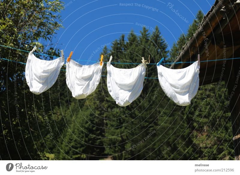 Schlüpferwäsche auf der Alm Sommer Haushalt Natur Landschaft Wolkenloser Himmel Hütte Dach Unterhose Duft Erholung blau grün weiß Reinlichkeit Sauberkeit