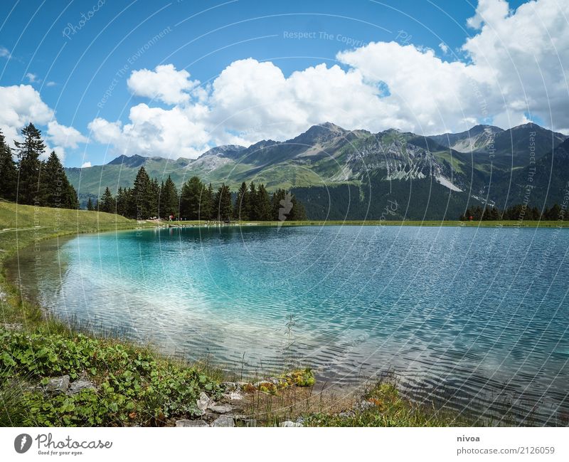 Speichersee Lenzerheide Sommerurlaub Berge u. Gebirge wandern Schwimmen & Baden Umwelt Natur Landschaft Pflanze Tier Urelemente Wasser Himmel Wolken Klima