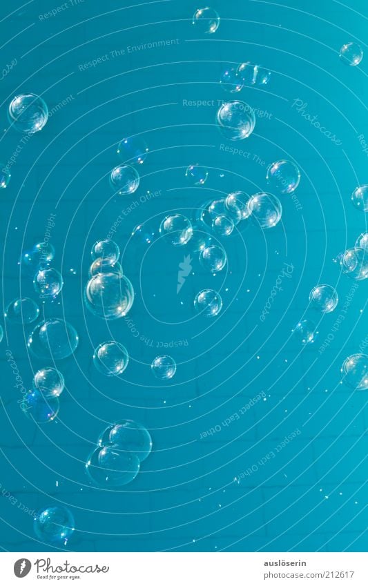 bubbles Natur Urelemente Kugel Bewegung fliegen blau Farbfoto Außenaufnahme Sonnenlicht Seifenblase Blase rund Blauer Himmel viele Menschenleer