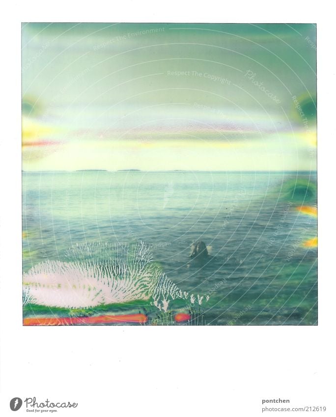 Eine Frau schwimmt im Meer. Polaroid. Urlaub und Erholung. Unbeschwertheit Freizeit & Hobby Ferien & Urlaub & Reisen Tourismus Freiheit Sommer Sommerurlaub