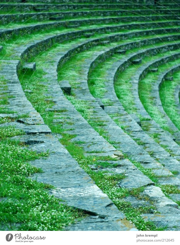 rundablage Theater Bühne Kultur pula Kroatien Amphitheater Arena Sehenswürdigkeit Denkmal alt grün Sitzgelegenheit Kurve Ruine bewachsen verwittert antik