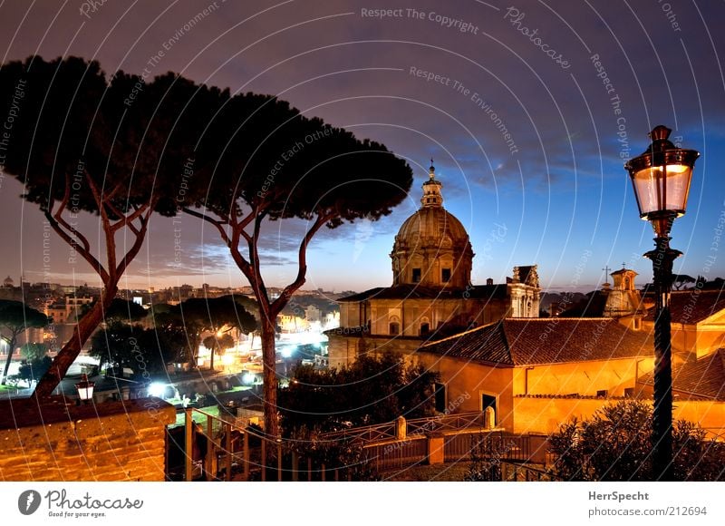 Campidoglio-Blick, blaue Stunde Baum Pinie Rom Hauptstadt Haus Kirche schön ruhig ästhetisch Stimmung Stadt Ferne Laterne Dämmerung Morgen Morgendämmerung