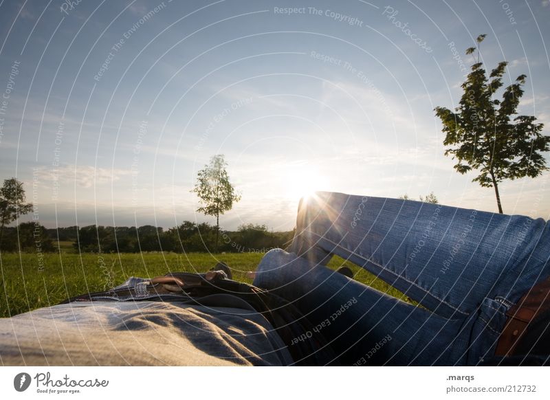 Zweisam Wohlgefühl Zufriedenheit Erholung ruhig Mensch maskulin feminin Paar Beine 2 Landschaft Himmel Sonne Baum liegen leuchten positiv Gefühle Zusammensein