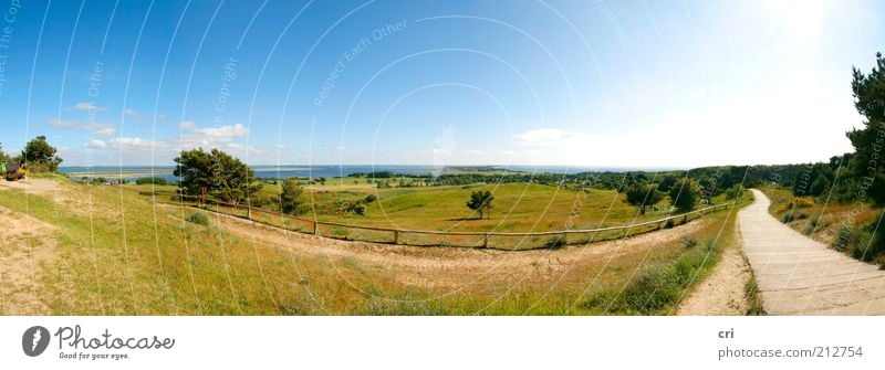 Hiddensee Natur Landschaft Himmel Horizont Sonne Sommer Schönes Wetter Wiese Feld Küste Ostsee Meer Insel blau grün Stimmung ruhig Ostseeinsel Farbfoto