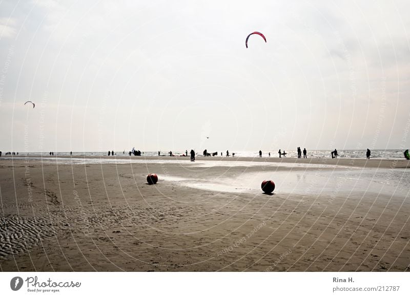 Herbstboten II Zufriedenheit Erholung Ferien & Urlaub & Reisen Tourismus Ausflug Strand Meer Menschengruppe Luft Wasser Himmel Küste Nordsee fliegen