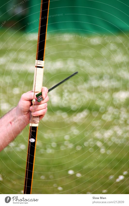 Konzentrationsphase... Jagd Holz Pfeil Selbstbeherrschung Gewalt Genauigkeit Präzision Bogen Bogenschütze robin hood schießen Waffe Ziel zielen treffsicher