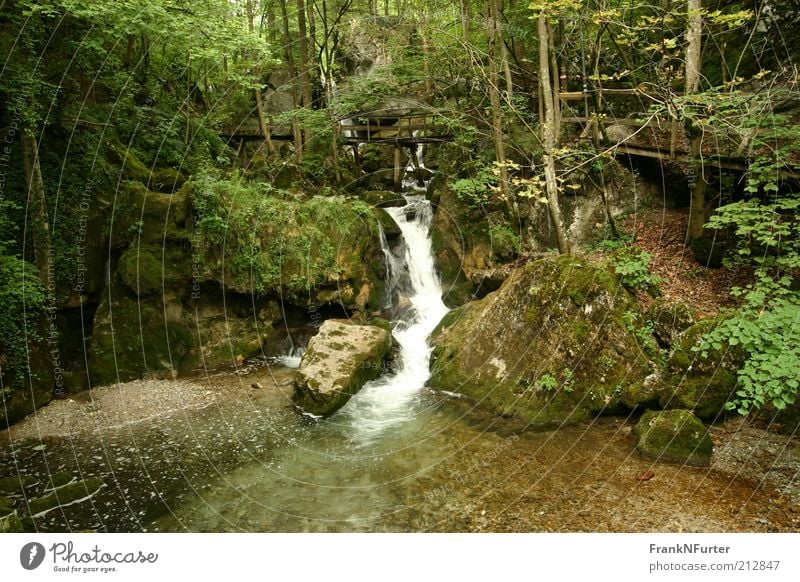 Blazing a Trail Freizeit & Hobby Ferien & Urlaub & Reisen Ausflug Sommer Sommerurlaub Berge u. Gebirge Umwelt Natur Landschaft Pflanze Urelemente Wasser