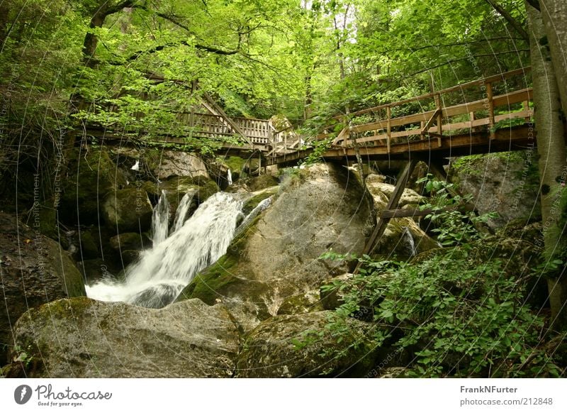 Supporting Rock Freizeit & Hobby Ferien & Urlaub & Reisen Ausflug Sommer Sommerurlaub Berge u. Gebirge Umwelt Natur Landschaft Pflanze Urelemente Wasser