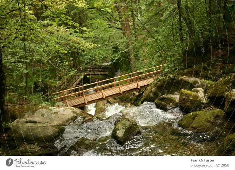 Bridging the Canyon Freizeit & Hobby Ferien & Urlaub & Reisen Ausflug Sommer Sommerurlaub Berge u. Gebirge Umwelt Natur Landschaft Pflanze Urelemente Wasser