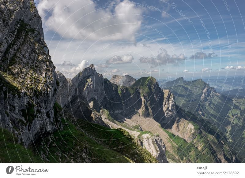 Pilatus Umwelt Natur Landschaft Sommer Schönes Wetter Alpen Berge u. Gebirge Gipfel außergewöhnlich natürlich Aussicht Schweiz Luzern Tourismus wandern