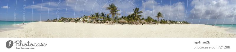 Strand Aruba 2 Palme Liegestuhl Weitwinkel Sand Graffiti Paradis