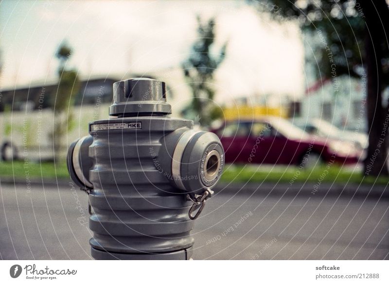 Hydrant in Grau Städtereise Baum Österreich Europa Verkehrswege Straßenverkehr Verkehrsstau PKW Bus ästhetisch einfach rund grau grün rot weiß Kraft Solidarität