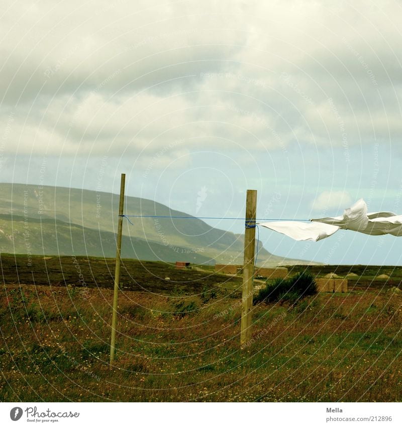 Waschtag Ferne Wäscheleine Umwelt Natur Landschaft Wind Wiese Hügel frisch wehen trocknen normal Haushaltsführung Pfosten Holzpfahl Wolkenhimmel